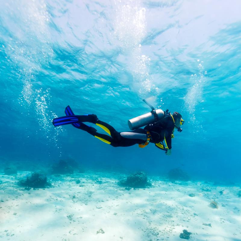 SCUBA DIVING AND SNORKELING