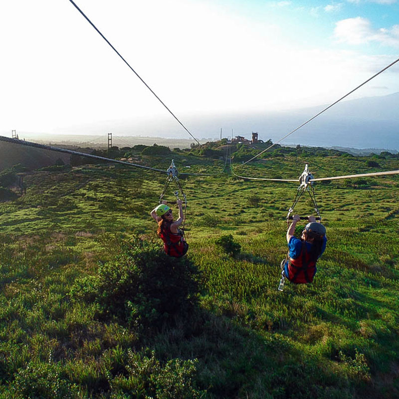 ZIPLINES