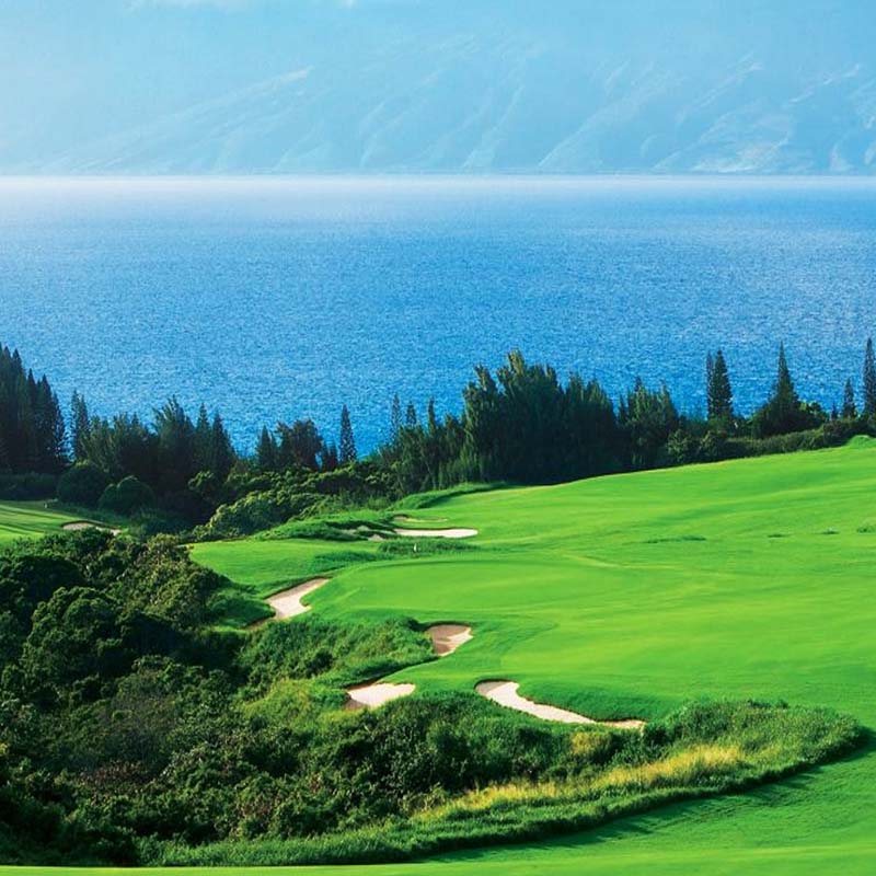 Plantation Course at Kapalua Resort