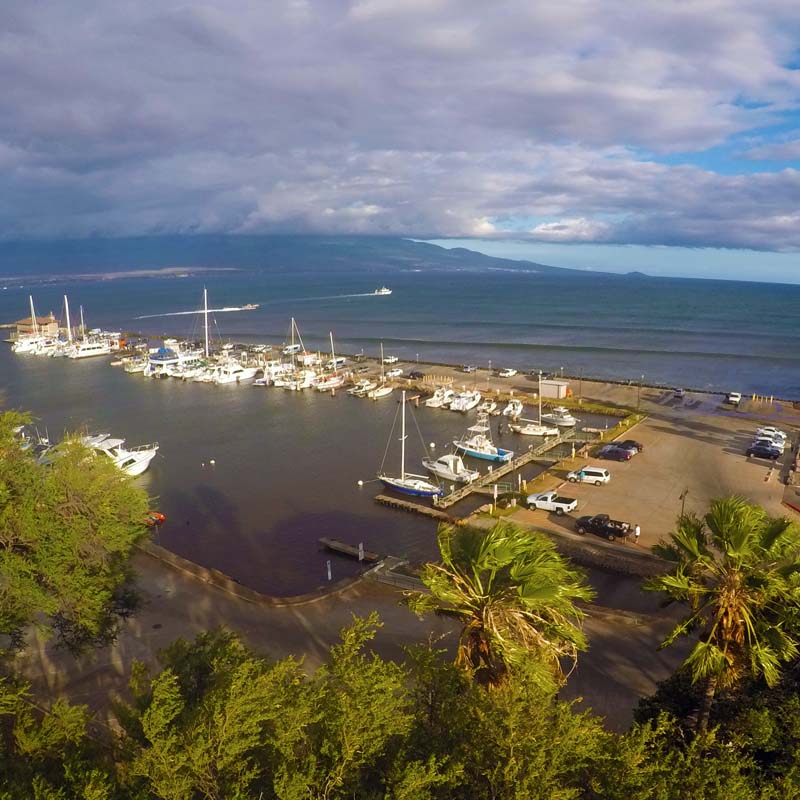 MAALAEA HARBOR