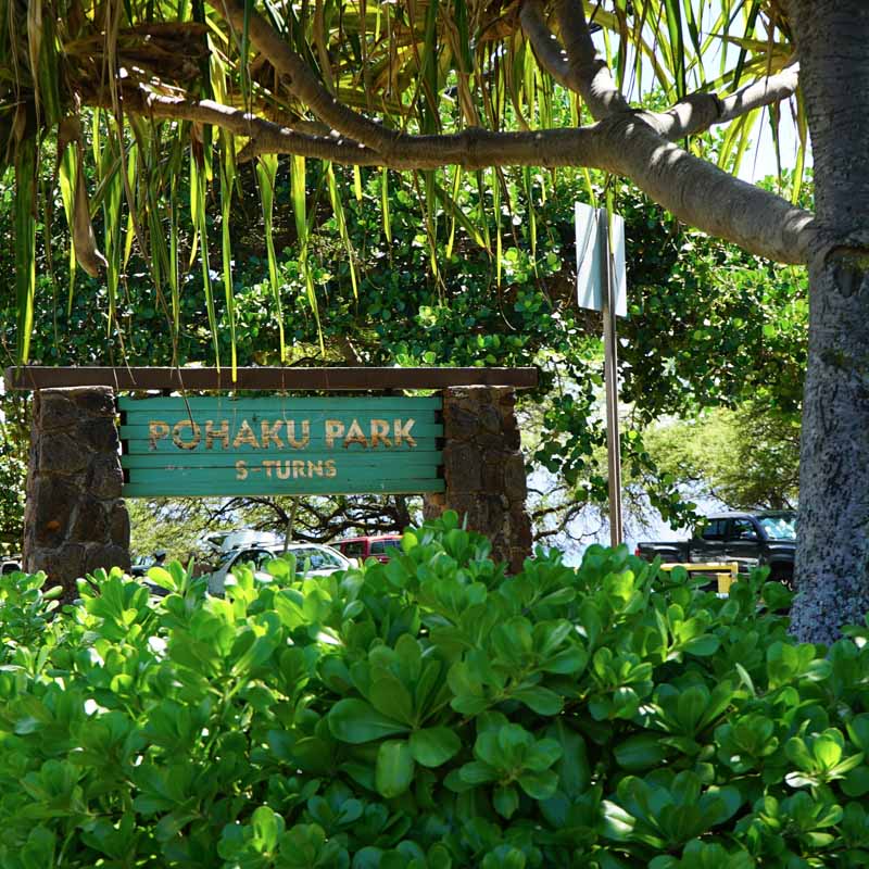 S-TURNS (POHAKU PARK)