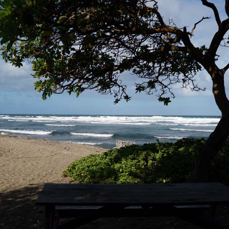 WAIEHU BEACH PARK